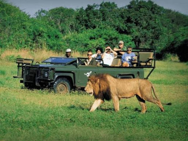 Ngủ Đêm Trong Safari Lodge Ở Nam Phi Có Gì Đặc Biệt?