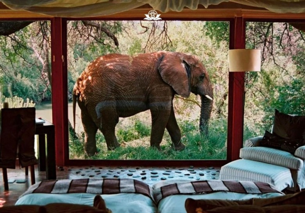 Ngủ Đêm Trong Safari Lodge Ở Nam Phi Có Gì Đặc Biệt?