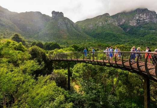 Vườn Bách Thảo Kirstenbosch Cape Town: Cảnh Quan Và Mùa Hoa
