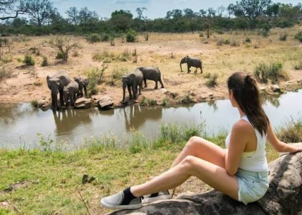 Đi Safari Nam Phi Nên Mặc Gì, Mang Gì? Trang Phục & Đồ Dùng