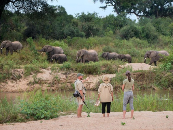 Một Buổi Safari Ở Kruger Diễn Ra Thế Nào? Trải Nghiệm Thực Tế