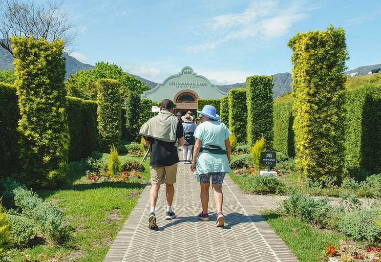 Con đường dẫn vào một vườn nho ở Franschhoek