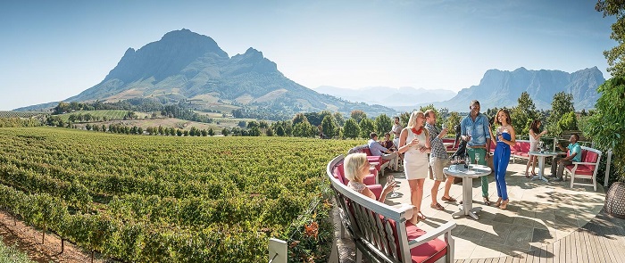 Gia đình tham quan vườn nho Stellenbosch cùng khu vui chơi cho trẻ nhỏ