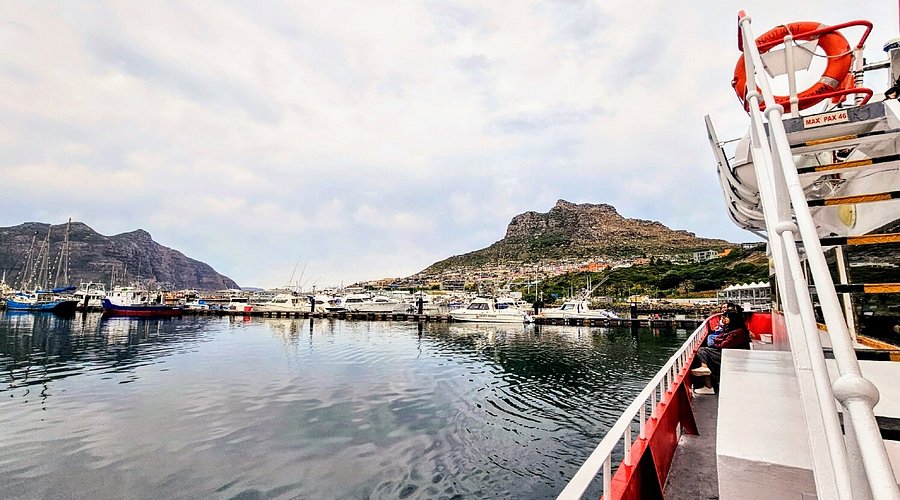  Cảng Hout Bay với thuyền đánh cá và du thuyền neo đậu