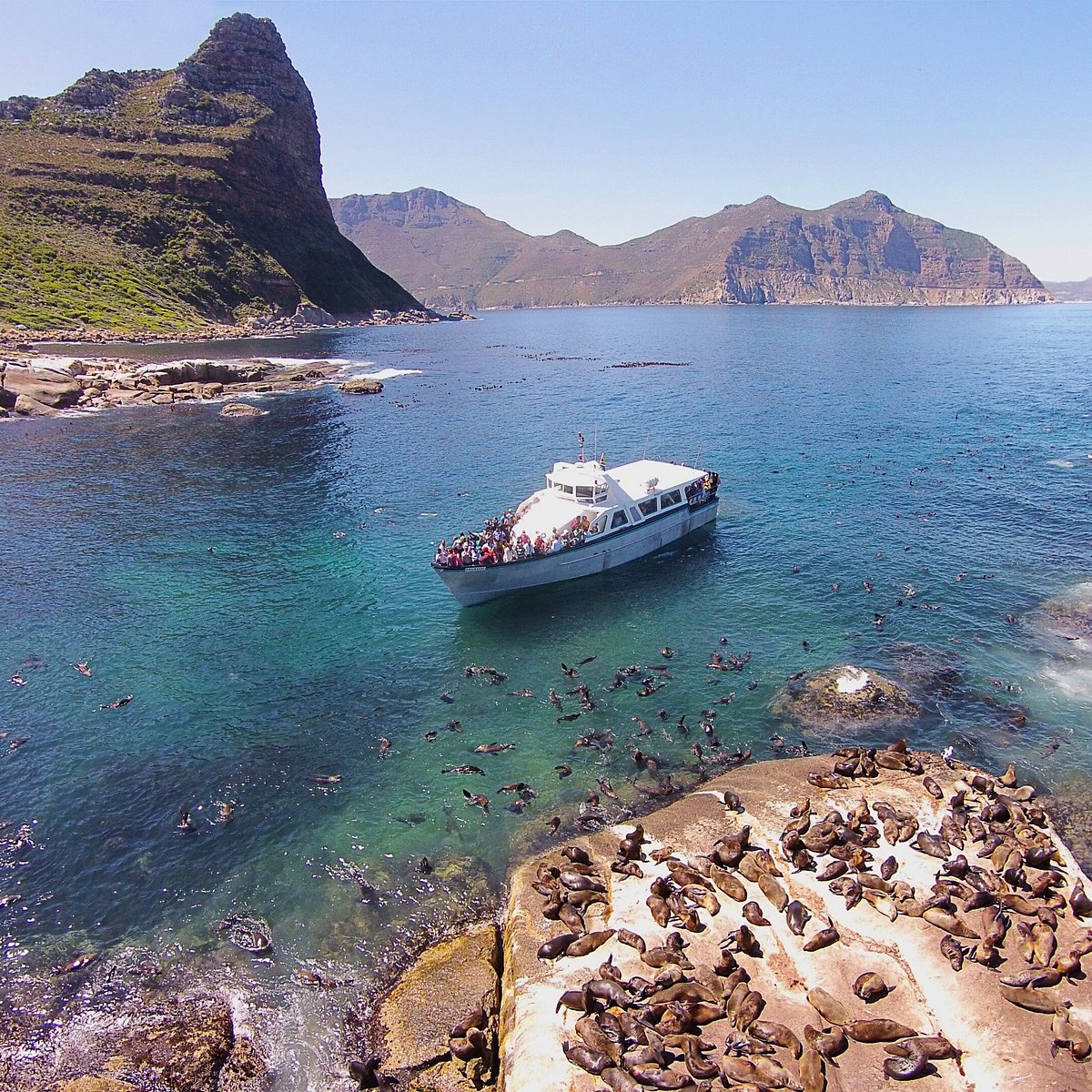 Du thuyền chở khách rời cảng Hout Bay hướng ra Duiker Island