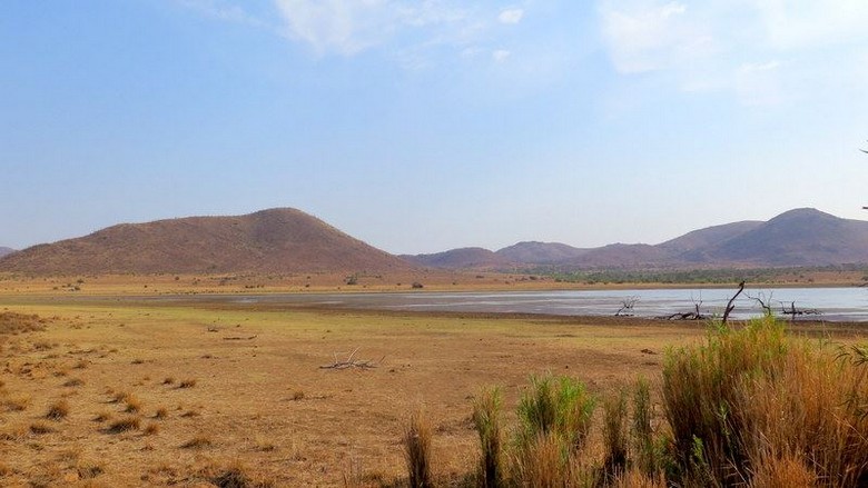 Safari ngắm Big Five và cảnh quan Núi Bàn ở Nam Phi