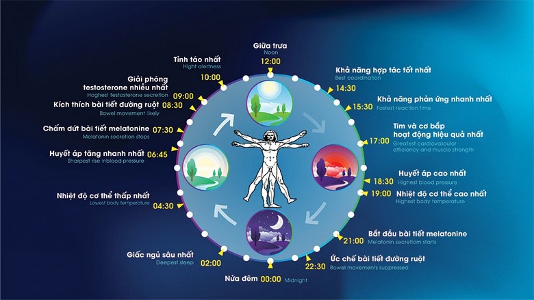 Sơ đồ minh họa hướng điều chỉnh đồng hồ sinh học khi bay