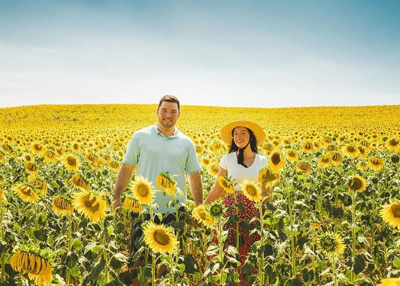 Khách du lịch dừng xe chụp ảnh giữa cánh đồng hoa Namaqualand
