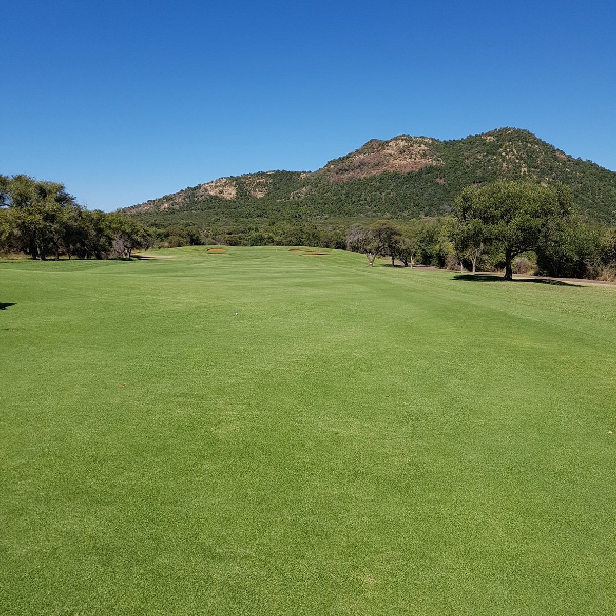  Sân golf Gary Player Country Club với khung cảnh núi Pilanesberg phía sau