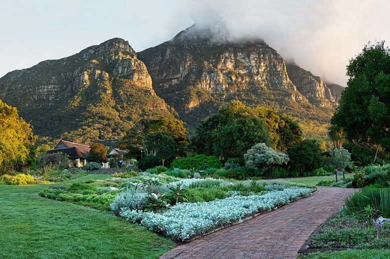 Toàn cảnh Vườn Bách Thảo Kirstenbosch dưới chân Núi Bàn