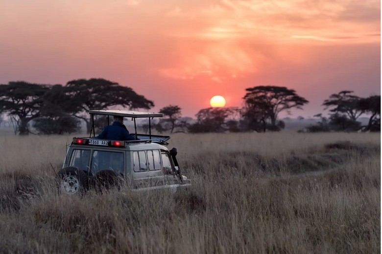 : Hoàng hôn trên thảo nguyên Nam Phi trong một buổi safari chiều