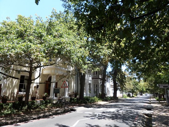 Phố cổ Dorp Street rợp bóng sồi và nhà kiểu Cape Dutch ở Stellenbosch