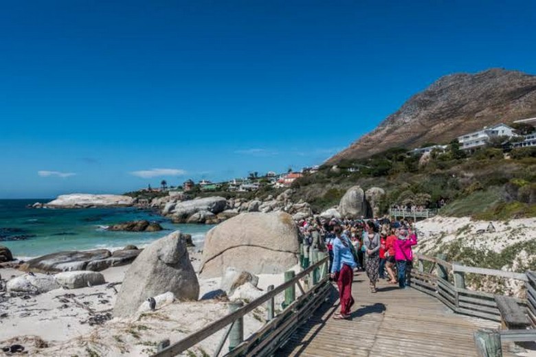 Lối đi bộ ván gỗ nối liền hai khu vực Foxy Beach và Boulders Beach