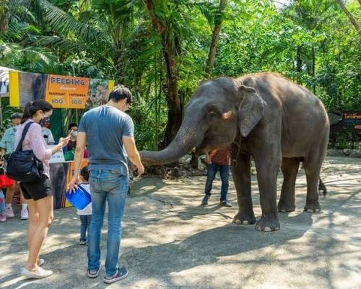 Khu nghỉ safari giữa thiên nhiên hoang dã, xa trung tâm phát sóng