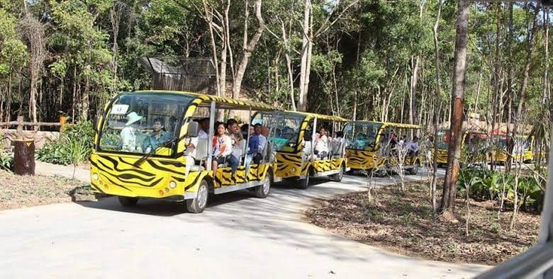  Nhiều xe safari cùng dừng quan sát một đàn thú vào buổi chiều