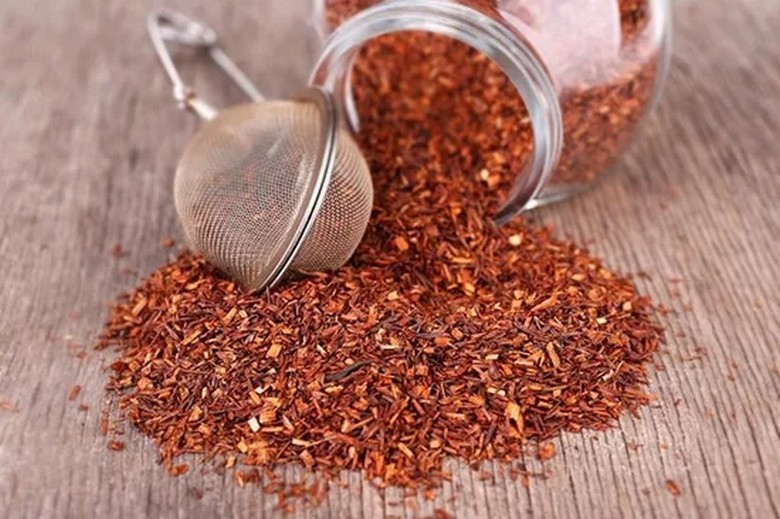 Lá rooibos khô màu đỏ nâu trước khi đóng gói