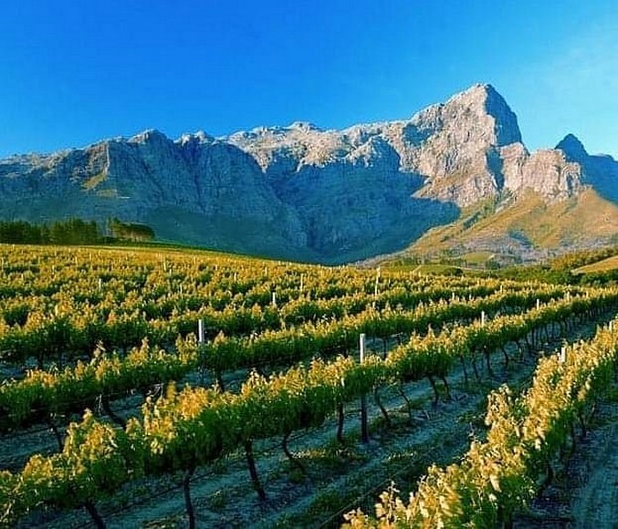  Thung lũng Franschhoek nơi người Huguenot Pháp từng định cư