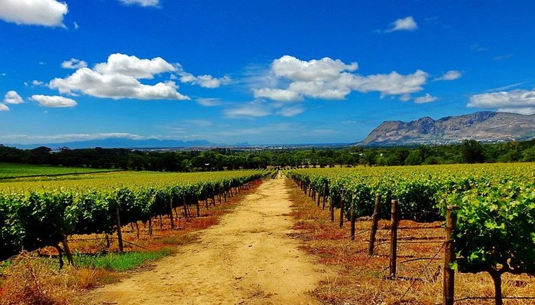 Điền trang Groot Constantia, nơi làm vang lâu đời nhất Nam Phi